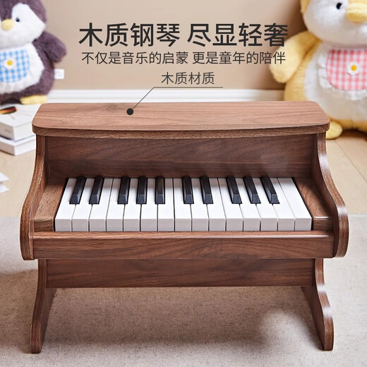 童雀六一儿童生日礼物 儿童木质小钢琴电子琴男女孩宝宝音乐早教玩具 25键棕色【木质电子钢琴】 送琴谱加琴贴