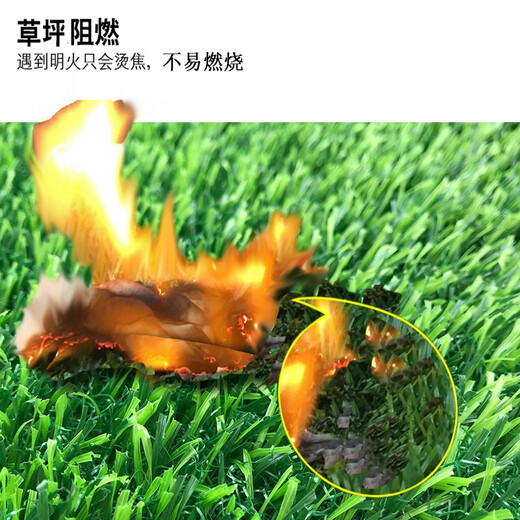 Duoxiu, artificial lawn carpet, plastic fake turf, artificial turf balcony, outdoor artificial turf, kindergarten fake turf, 2cm special grade raw material spring grass, 1 meter wide, take a few pieces to get a few meters, high grade