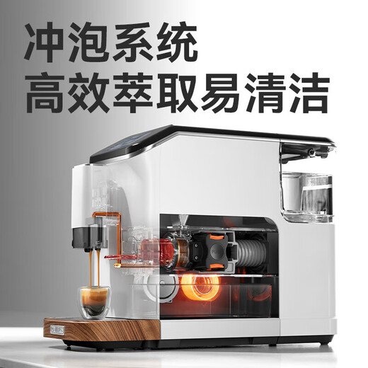 Machine de café italienne Petrus Full semi-automatique Machine de moustisé ménager tout-en-un PE3899 / 3888/3101/3922 PE3101
