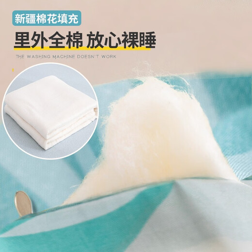 Yunjin Air conditioning quilt, 100% cotton inside and outside, Xinjiang cotton summer cool quilt, thin quilt 150x200cm, small daisy