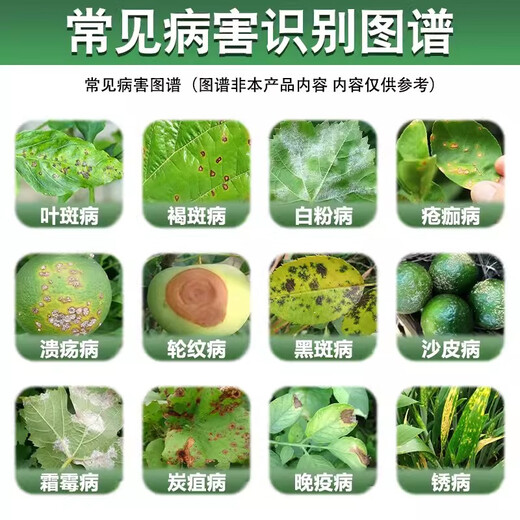 30% pyraclostrobin downy mildew purple spot anthrax rust scab pesticide fungicide 1000g (aluminum bottle)