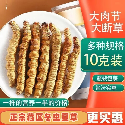 鹿章堂正宗藏区高海拔精品断虫草断草冬虫夏草自食买10克发11克多买多惠 西藏那曲高海拔纯肉整节80克（送10克发90克）