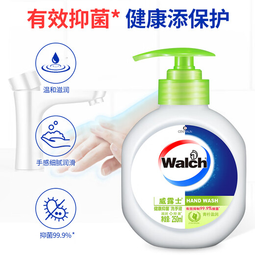 Velox Antibacterial Hand Sanitizer 250ml+250ml Lime Rich Antibacterial Foam Rich Easy to Rinse Hand Care for Children and Students