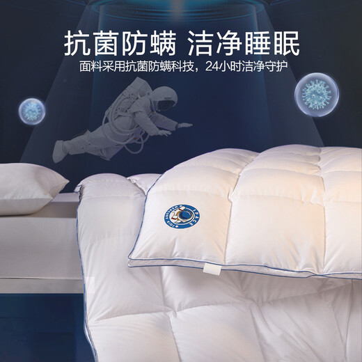 Mercury Home Textiles Quilt Duvet Imported from Poland 95% White Goose Down Infant and Toddler Class A Antibacterial and Anti-mite Goose Down Quilt Winter Quilt Winter Quilt (95% Polish White Goose Down/Class A Antibacterial) 120 150cm (Adapted to 1.0m bed kit)