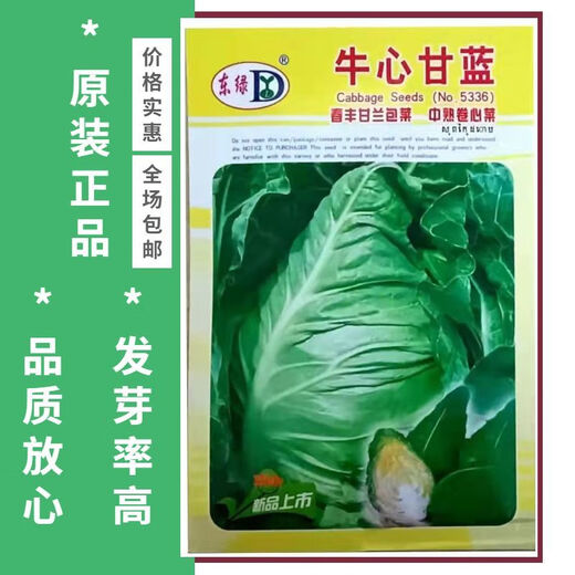 Beef Heart Cabbage Seeds, Pointed Cabbage Seeds, Beef Heart Cabbage, Tender, Refreshing, High Yield Vegetable Seeds, Selected Original 1 Pack, About 300 Tablets, Song Fertilizer