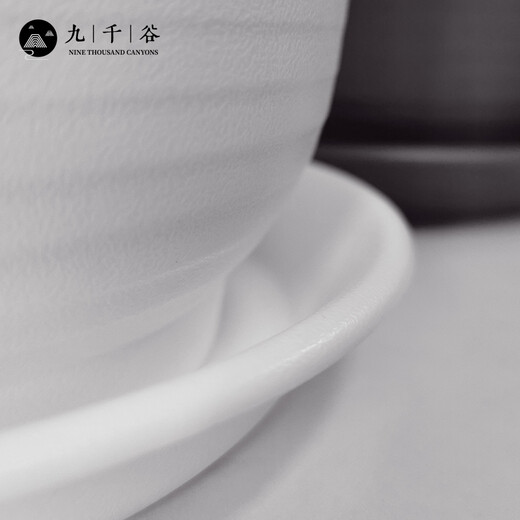 JiuqiangGu Flower Pot Tray épaissis Imitation Céramique Resin Connexion d'eau Connexion haut de gamme Simple Inner Diamètre 18 cm Blanc 3 Packs 3927