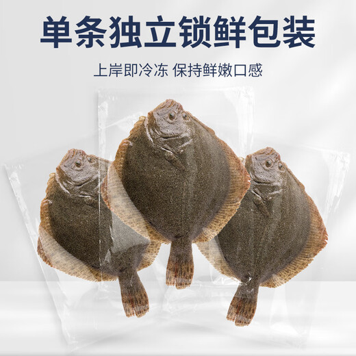 Selling Fish Seven Lang Turbot Net Weight 2.1 Jin Jin equals 0.5 kg, 3 pieces in total, Sea-caught fresh frozen halibut, fresh aquatic fish
