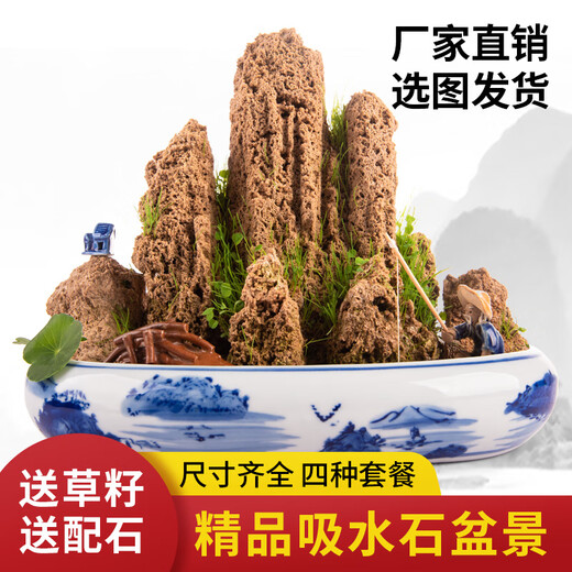 Landscape green sculpture natural water-absorbent stone bonsai custom-made water stone rockery stone micro-landscape decoration stone ornamental 20-24cm water-absorbent stone does not include pots and comes with grass seeds and stones