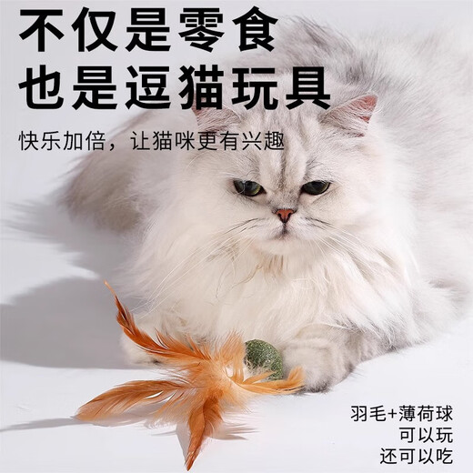 Cat Toy Cat Mint Ball Feather Teeth Grinding Self-Enjoyment Relieve Boredom Cat Grass Slice Ball Funny Cat Stick Cat Hair Loss Cat Special Pet Feather Toy - Mint Ball - 1