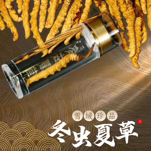 Nagqu Cordyceps Cordyceps Cordyceps Tibetaner Nagqu Cordyceps 2 Stücke Trockenwaren Cordyceps Geschenke 50 Geschenkboxen 50 Geschenkboxen;