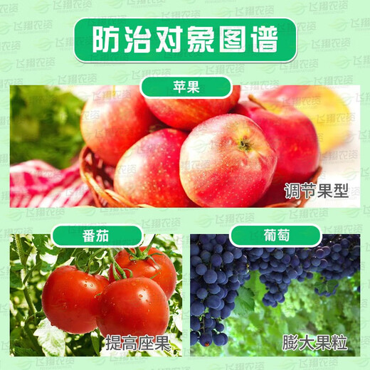 Premarin American Valencia gibberellin gibberellic acid fruit tree grape strawberry enlarging agent elongating agent pesticide 1000ml