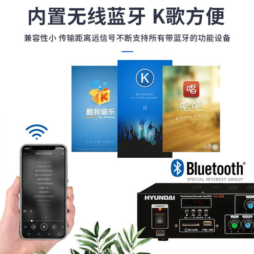 现代（HYUNDAI）AV-208 点歌机套装 家用ktv音响套装卡拉ok专业功放机会议点歌机家庭影院组合