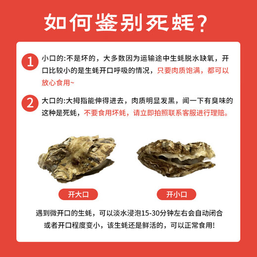 Fresh Jingcai Fresh Oysters 3XL Net weight 5Jin Jin is equal to 0.5kg 13-18 pieces Fresh to your home Fresh seafood Straight from the source