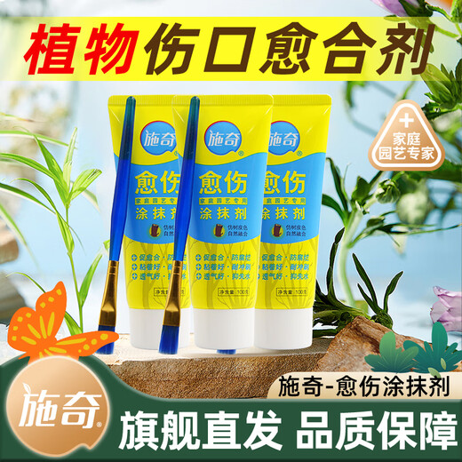 Shiqi wound healing agent tree rose fruit tree seedlings plant bonsai pruning grafting healing ointment smear healing ointment