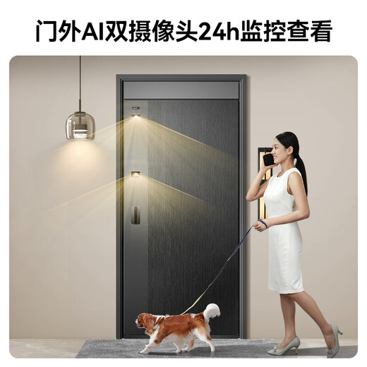 
Asia Pacific Tianneng Deluxe Smart Door AI triple camera anti-theft entry door security door household mother door entrance door M3plus M3plus external wide single door (1050*2050)