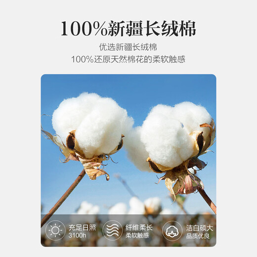 Demana Intellectuals Spring and Autumn Breathing Pure Cotton Retro Plaid Shirt Comfortable and Matchable Flesh Covering Shirt Women's Clothing