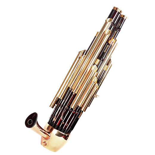 NEUE ART Exquisite Keyed Amplification 21 Spring Sheng Musikinstrumente Komplette Sammlung von runden Sheng Xiu Sheng Gong Yu Musical Instruments Sheng Bag Anfänger 21 Spring Paint Gold Live Eimer [lila Bambus gelbe Tube] D.