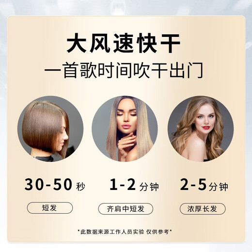 Dong Nailun hair dryer household hair dryer negative ion high-speed high-speed hair dryer leafless high wind quick-drying barrel low noise portable 520 Valentine's Day gift for boyfriend and girlfriend hair salon household extension cord 3.5 meters silver white