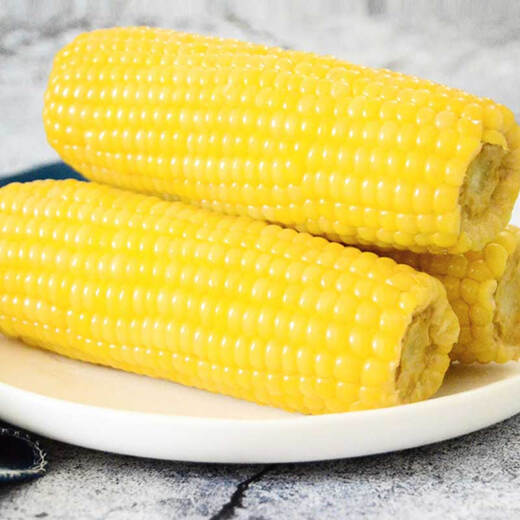 Jingxiansheng Northeastern Yellow Corn 260g*10 Cobs Vacuum Packaging Sticky Corn Sticky Corn Straight from the Source