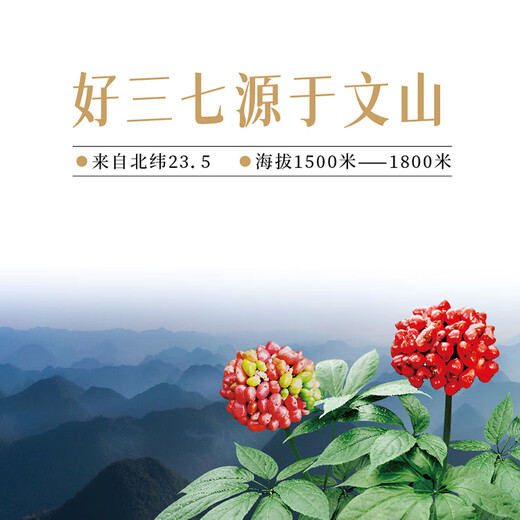 【医本善】三七粉 散瘀止血消肿定痛 便血外伤跌扑肿痛 正宗云南文山特级 纯野生3g×30袋 独立包装 三七粉 + 山楂粉【控血压降血脂】