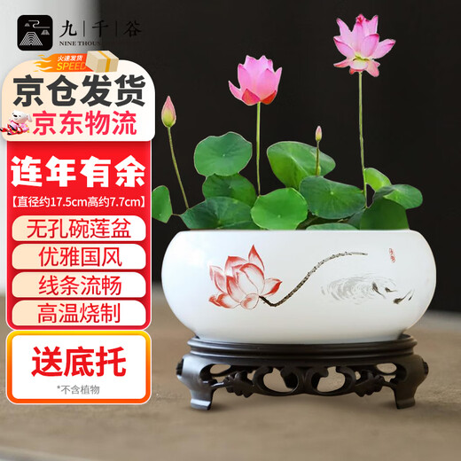 Jiuqianggu Céramique Pot de fleur narcisse bassin eau Lily bol lotus cuivre herbe hydroponique hydroponique fleurs d'élevage de fleurs de fleurs vertes pot avec base 3888