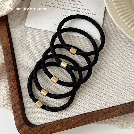 Danqin high ponytail hair rope for girls 2025 new style rubber band to tie hair, high elasticity and durable hair ring, adult hair rope leather case, old money style hair rope (10 mixed colors)