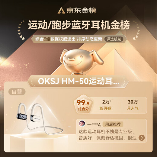 OKSJ Sports Recommendation Bone Conduction Headset Bluetooth Concept Running Open In-Ear Wireless Cycling Call Suitable for Apple, Huawei, and Xiaomi Mobile Phones