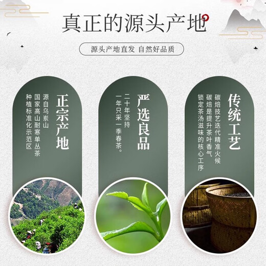1392 Tianchi Tea Industry Authentic Chaozhou Phoenix Single Cong Chun Tea Fragance Fabor de orquídeas de 125 g de mierda de pato de larga duración 125 g COMPRA DE COMPRA DEL REFTABLE DE MIERDA DE PATO 125G (envíe una burbuja de sabor a un solo cong)