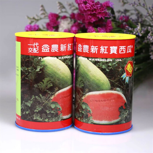 Chunzhiyun New Hongbao Watermelon Seed Authentic Medium Late Maturity Large Fruit Shape Red Heart Green Skin Single Melon Weight 13kg 200g New Hongbao Original 200g Planted 4 acres