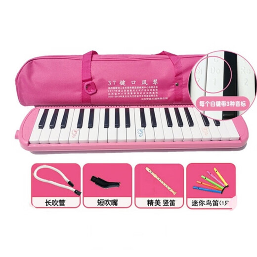 Orgel Special 37 Tasten 32 Schlüsseln DHS Kinderleistungstufe Windinstrumente Musik Custom Model [Medium Matching] [32 Tasten schwarz] + Blase Pipe Mundstück + Lehrbuch + Vogelflöte