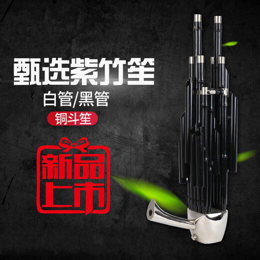 笙乐器初学者14簧方笙17簧21簧圆笙降B降CED调初学笙乐器 14簧紫竹白管铜斗笙-D调