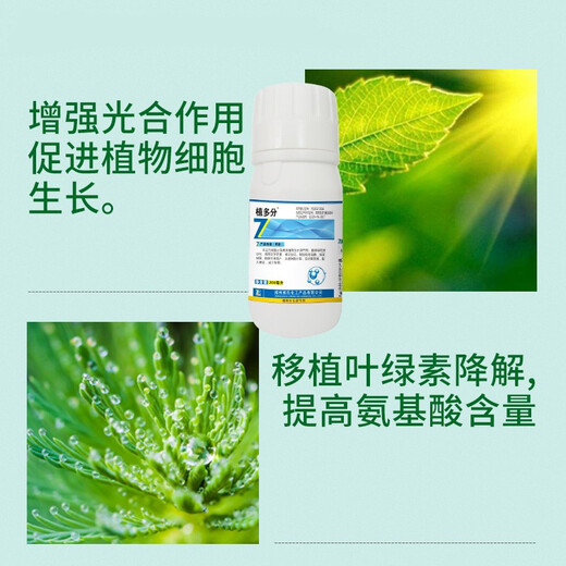 Senhuo Phytopolymer Benzylaminopurine Zheng's Chemical Plant Growth Regulator Garden Fruit Tree Seedlings Flower Cytokinin to Accelerate Flowering, Pop Buds and Extend Flowering Period 200ml/Bottle*1 Bottle