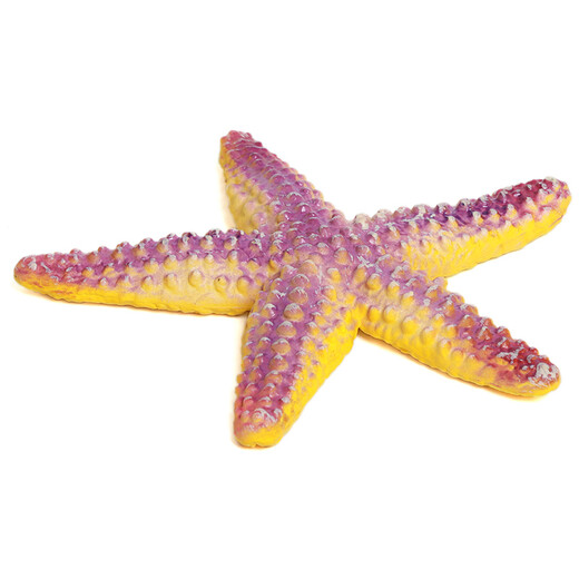 MECHILE Marine Animal Model Set Toys Simulation Biology Blue Whale Crab Starfish Sea Horse Anemone Jellyfish Otter Lobster Starfish