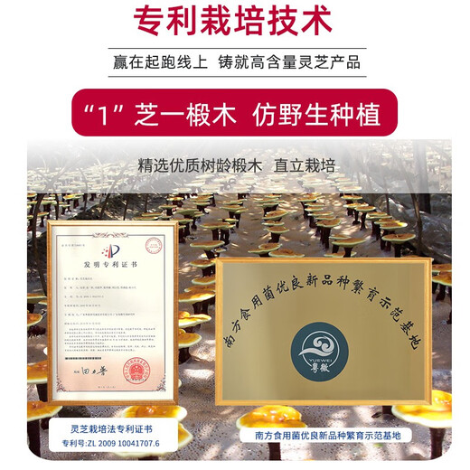 粤微牌破壁灵芝孢子粉提取物胶囊 中老年保健品送礼提高免疫力三萜 90粒*12盒【囤货更划算】