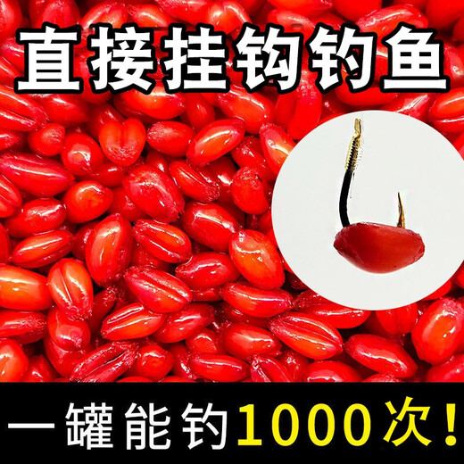 Uncle Ben fishing wheat musk fish bait particles directly hooked to wild fishing competitive nest cooking wine rice crucian carp carp grass carp 1000 pieces in a can