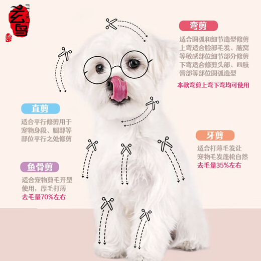 Black Bird Pet Scissors Dog Grooming Shearing Scissors Small Dog Teddy Haircut Straight Scissors Curved Scissors Teeth Scissors Fishbone Scissors Trimming Upgraded Black Gold Curved Scissors