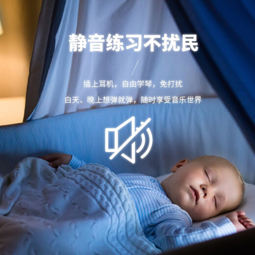 探律（TANLV）钢琴电钢琴88键重锤专业成人初学者幼师儿童家用立式数码电子钢琴 T01木纹黑-重力度键-多功能APP