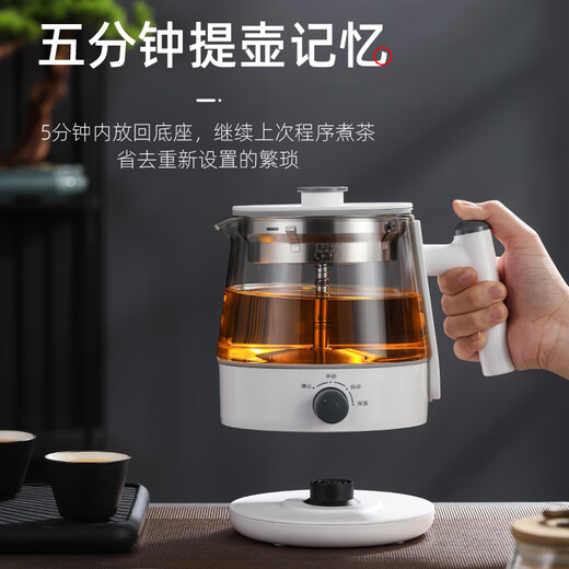 Biooner tea kettle, spray type tea kettle, steam type black tea kettle, office home kettle, mini health pot flower tea kettle, white (upgraded with insulation) 0.8L