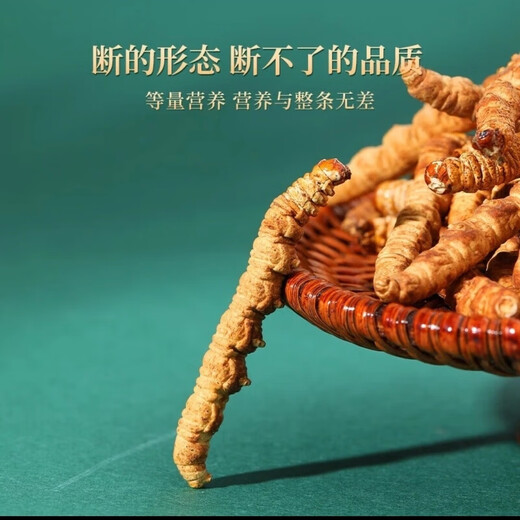 冬虫夏草（支持质检）藏区雪域虫草断草整肉纯肉节冬虫夏草干断草 冬虫夏草纯肉节30克送4克 提高免疫力