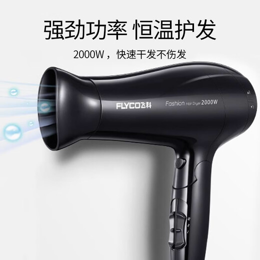 飞科电吹风机家用吹风筒速干恒温冷热风学生宿舍可折叠大功率电吹风筒 飞科FH6231黑色 2000W 普通装