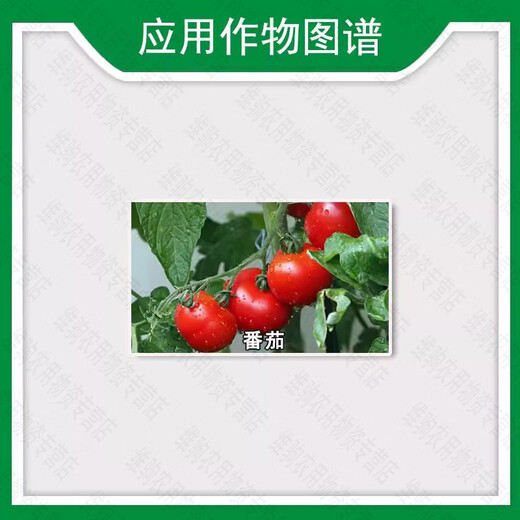 Guoguang Buluo Fangsu 24 2,4-D sodium salt plant growth regulator 2.4-d tomato flower and fruit 1g*20 bags