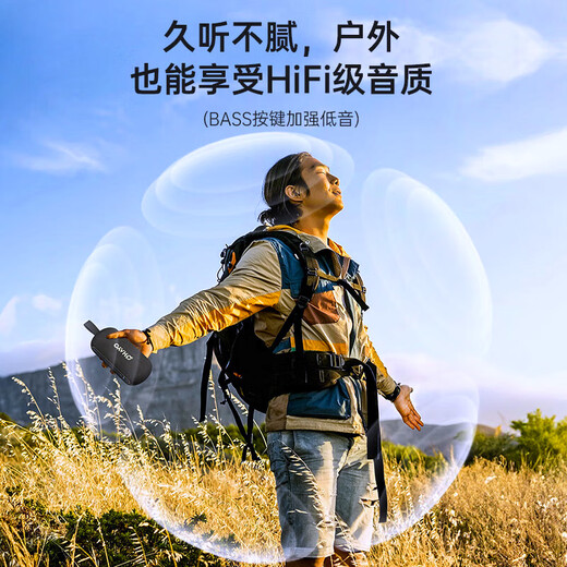 Leiden (OHAYO) S6 haute qualité hifi de qualité audiophile grand volume sans fil Bluetooth haut-parleur subwoofer haute puissance extérieur portable petit audio niveau maître dbx-tv co-marqué noir dbx-tv version co-marquée mille yuans qualité sonore norme officielle 40W livraison le jour même/le lendemain