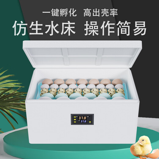CLCEY chick incubator fully automatic 2024 small household smart chicken, duck, goose, pigeon, rutin, quail egg incubator 104 pieces fully automatic dual electric temperature and humidity dual display + five modes