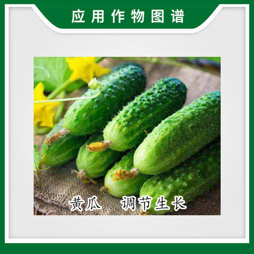 Weidi Jiangxi Weidi Guohomai 0.5% 28 high rutine gibberellic acid cucumber growth regulator agricultural supplies 8ml