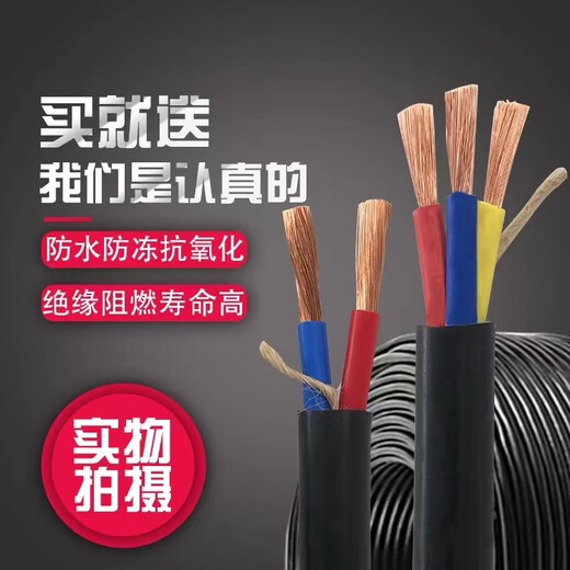 工程电线电缆线国标户外电缆2芯2.5平方20米大功率防水防冻防晒线 国标2芯2.5平方100米 送5件套