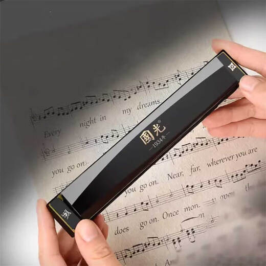 Guoguang Armónica polifónica de 24 hoyos en tecla C para estudiantes principiantes, niños y niñas, instrumento de viento armónica de nivel inicial de autoaprendizaje Tecla C plateada polifónica de 28 hoyos + libro de partituras