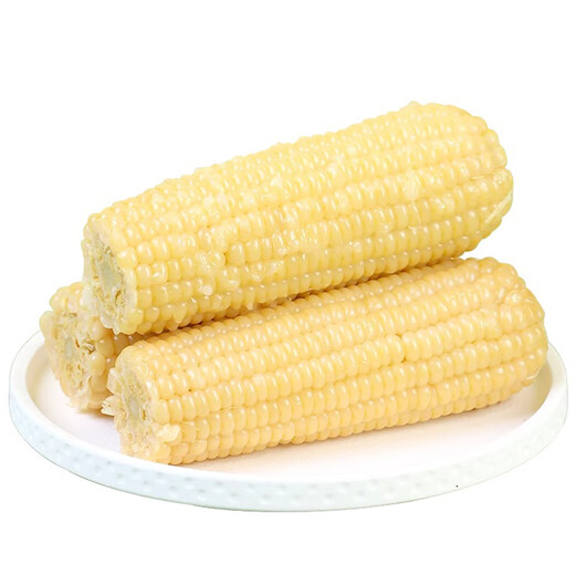 Tong Chuang Northeast White Waxy Corn on the Cob Fresh Sweet Waxy Corn on the Cob Meal Replacement Light Food Vacuum Packaging Sticky Corn Northeast White Waxy Corn Net Weight 250g*10 Cobs/Box