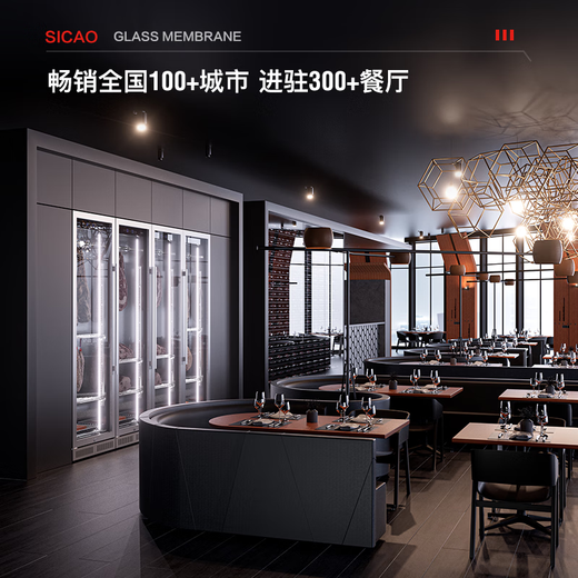 Xinchao Dry Aged Wine Cabinet Steak Cabinet Beef Delicatessen Original Cut DA Sour DRYAGER Household Refrigerated Display Yan 400S2700K120-130KG 415L