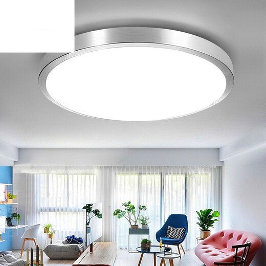 led吸顶灯 圆形卧室吸顶 灯现代简约客厅灯的过道走廊卫生间厨房阳台灯具 菊花27cm-白光18W