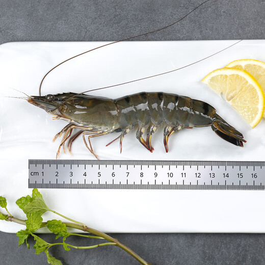 Wanjing Domestic Live Frozen Black Tiger Shrimp Single Frozen Ice-Free Net Weight 2Jin Jin is equal to 0.5kg/box 31-40 pieces Hot pot seafood New Year's goods